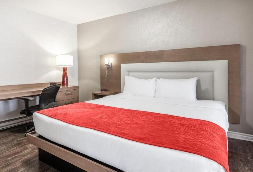 غرفة قياسية, Universel