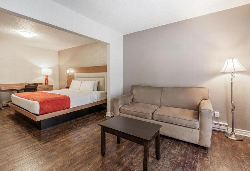 غرفة قياسية, Universel