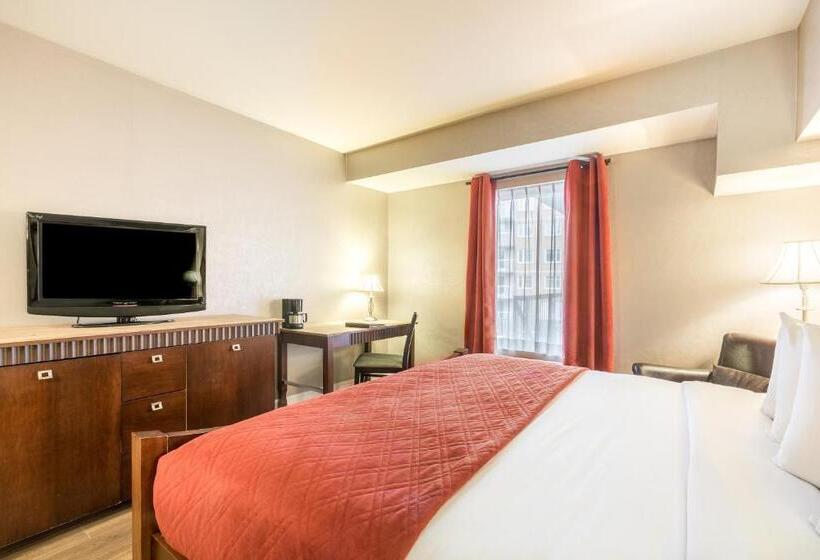 غرفة قياسية سرير مزدوج, Universel