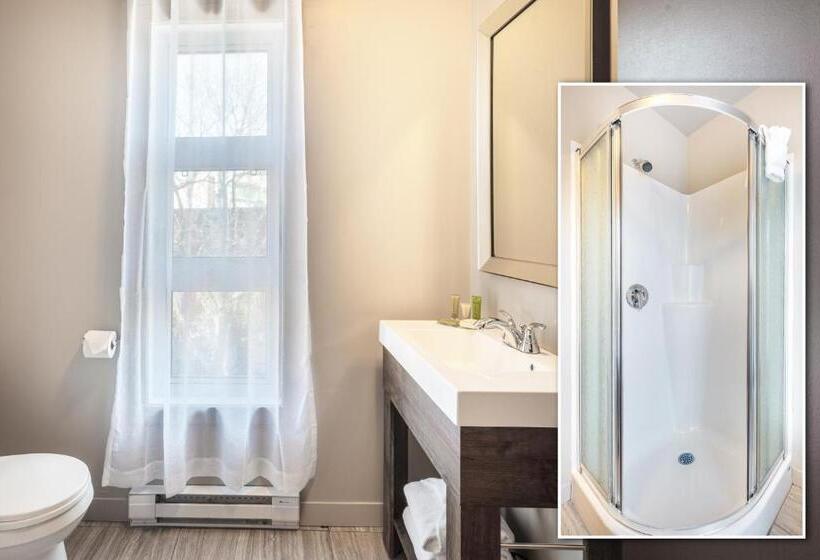 إستوديو قياسى, Universel