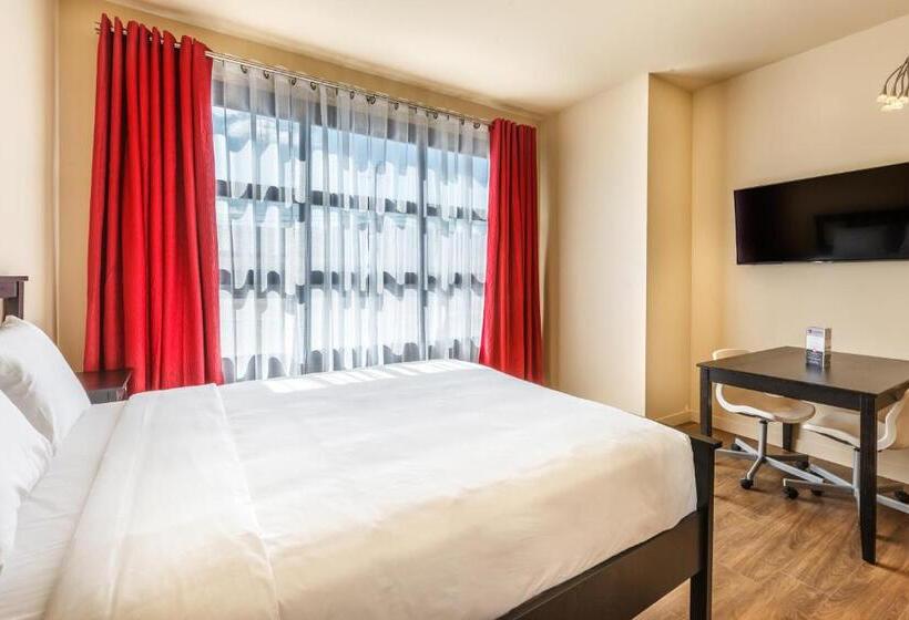 إستوديو قياسى, Universel