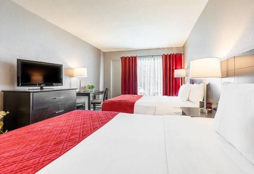 غرفه قياسيه سريرين مزدوجين, Universel