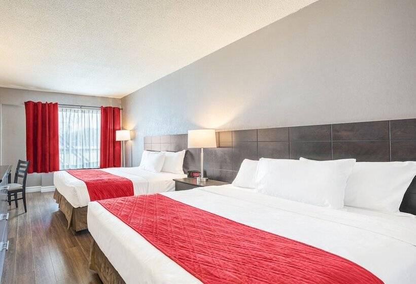 غرفه قياسيه سريرين مزدوجين, Universel