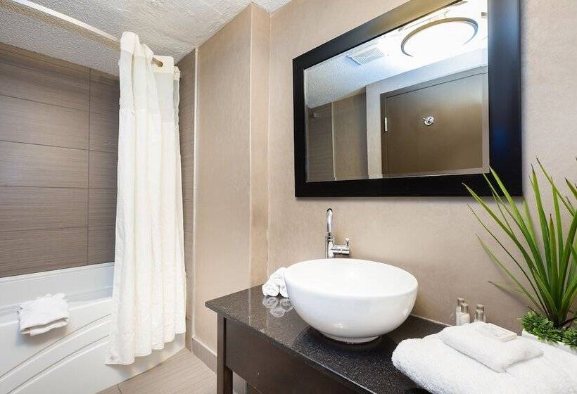 غرفة ديلوكس, Universel