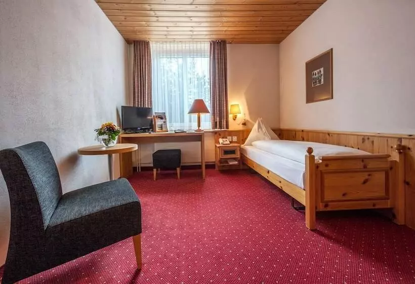 اتاق استاندارد یک نفره, Waldhotel Arosa