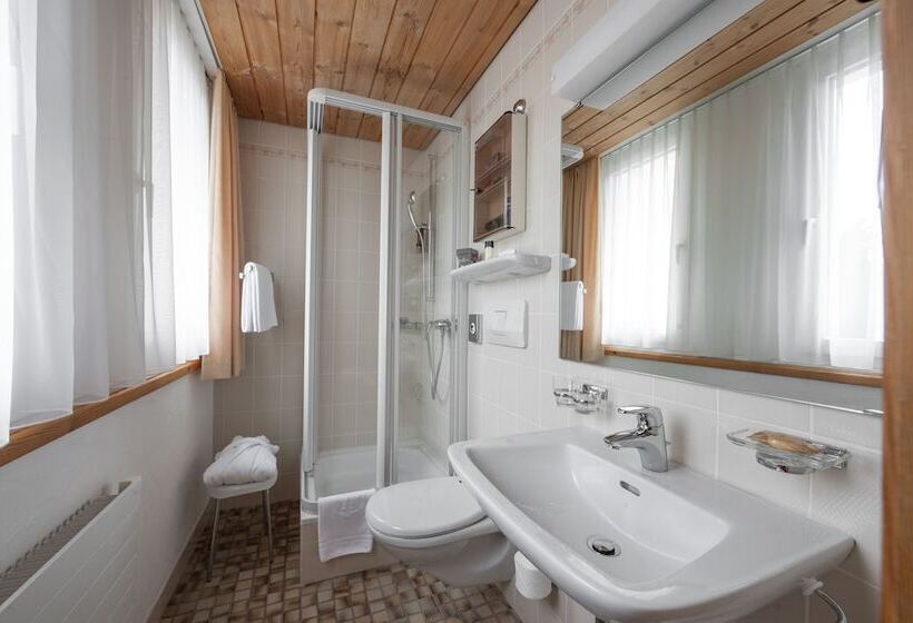 Номер Стандарт Индивидуальный, Waldhotel Arosa