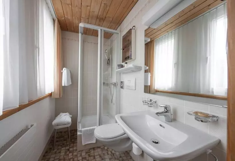 اتاق استاندارد یک نفره, Waldhotel Arosa