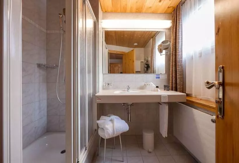 اتاق استاندارد یک نفره, Waldhotel Arosa