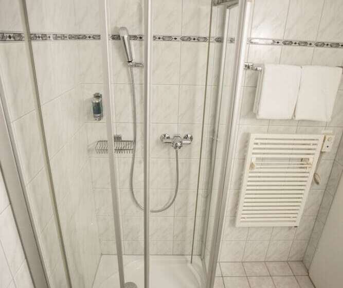 스탠다드 룸, Garni Hotel Frohburg