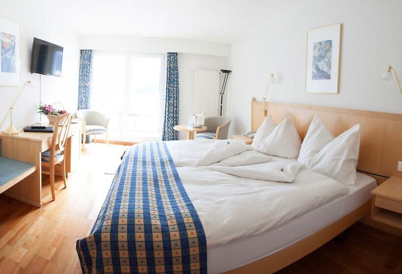 اتاق سوپریور, Garni Hotel Frohburg