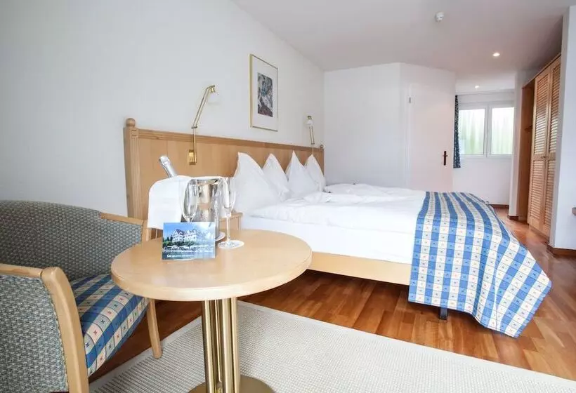 スーペリアールーム, Garni Hotel Frohburg
