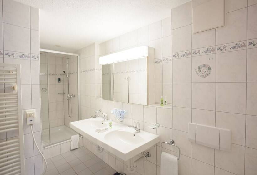 주니어 스위트, Garni Hotel Frohburg