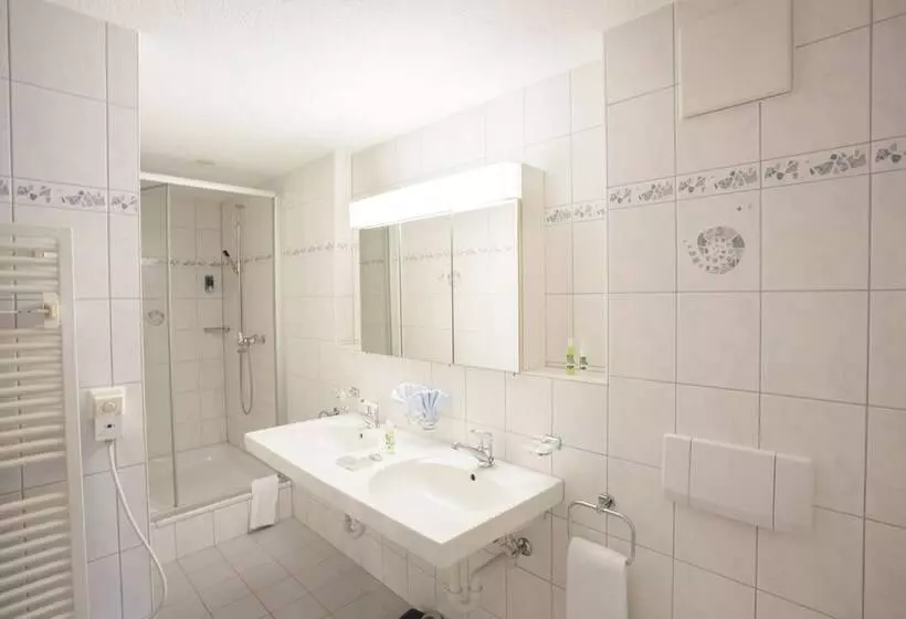 ジュニアスイート, Garni Hotel Frohburg