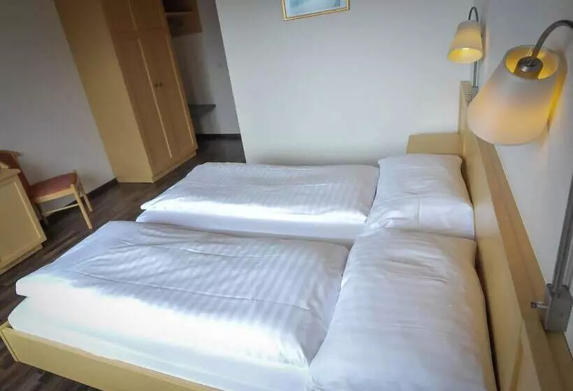 Habitació Superior Vista Muntanya, Alpenruh