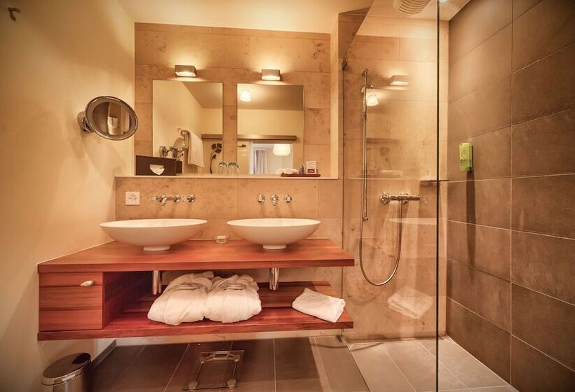 스탠다드 룸 호수 전망, Belvédère Strand