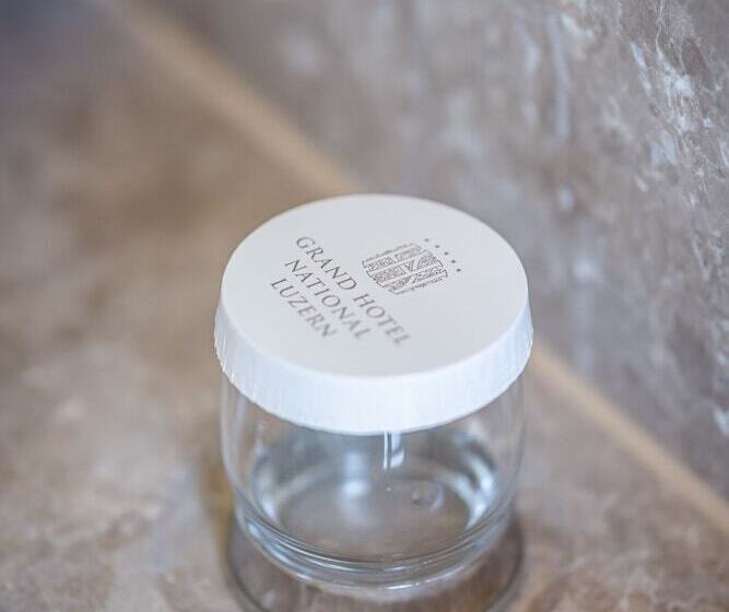 带河湖景观的轻年套房, Grand Hotel National Luzern