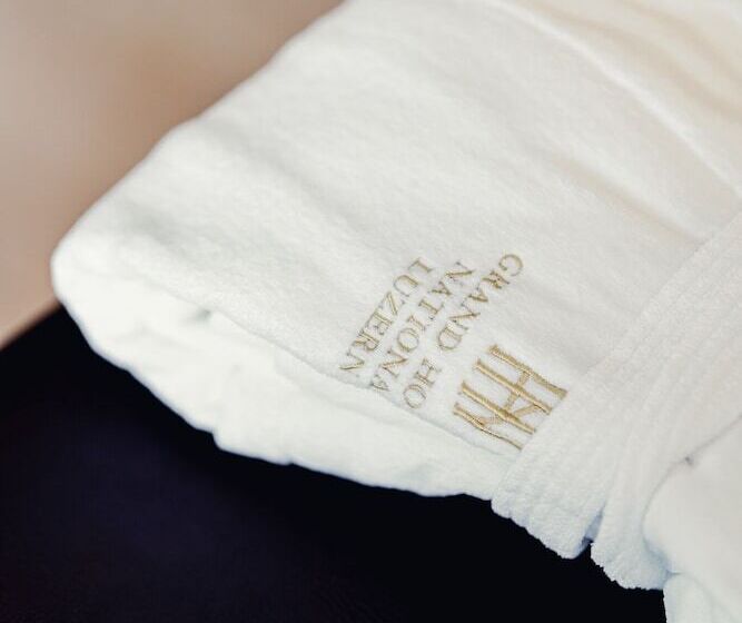 豪华湖景房, Grand Hotel National Luzern