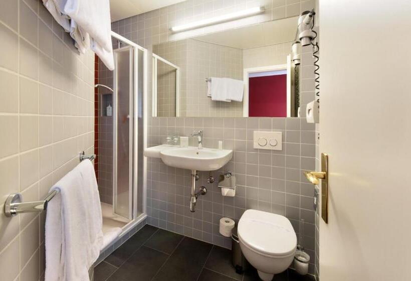 اتاق سوپریور, International & Terminus