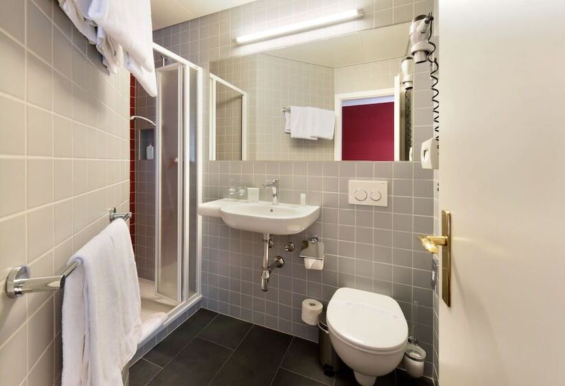 اتاق سوپریور, International & Terminus