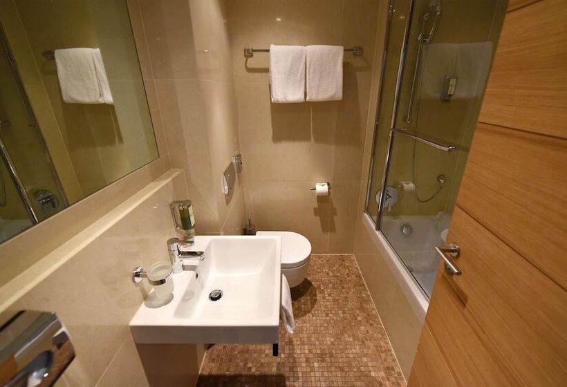 高级大房间, Piz St. Moritz