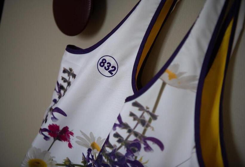 豪华单人间, Schweizerhof Lenzerheide