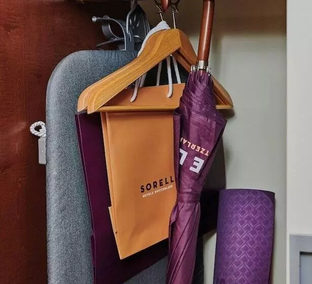 デラックスルーム, Sorell Hotel Speer