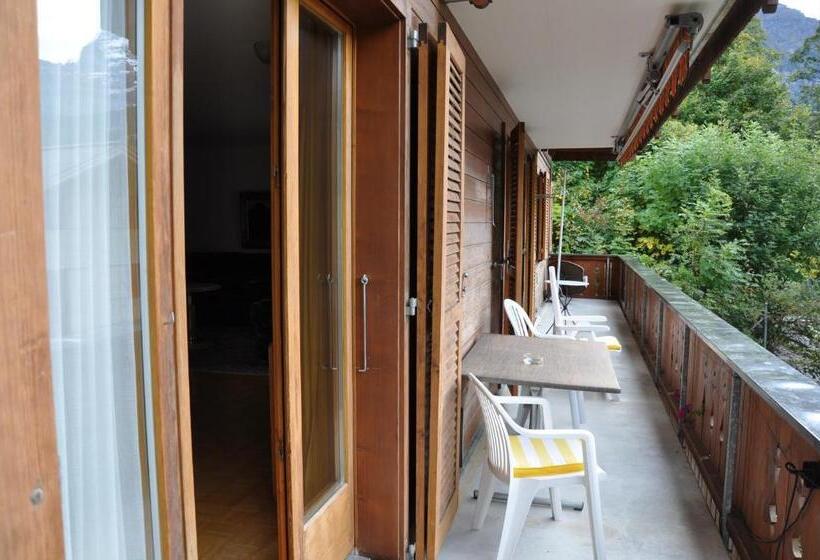 کلبه ییلاقی, Silberhorn   Residences & Spa Wengen