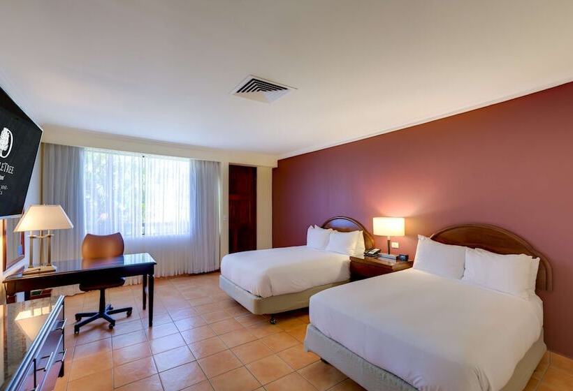 带2个双人床的标准工作室, DoubleTree by Hilton Hotel Cariari San Jose - Costa Rica