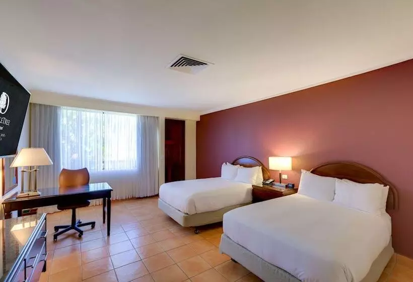 ２ダブルベッドのスタンダードルーム, DoubleTree by Hilton Hotel Cariari San Jose - Costa Rica