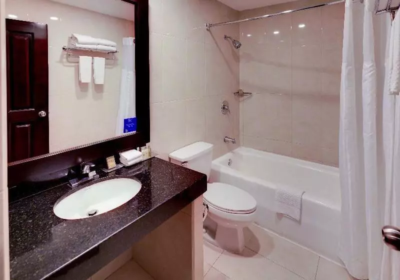 キングサイズベッドのエクゼクティブルーム, DoubleTree by Hilton Hotel Cariari San Jose - Costa Rica