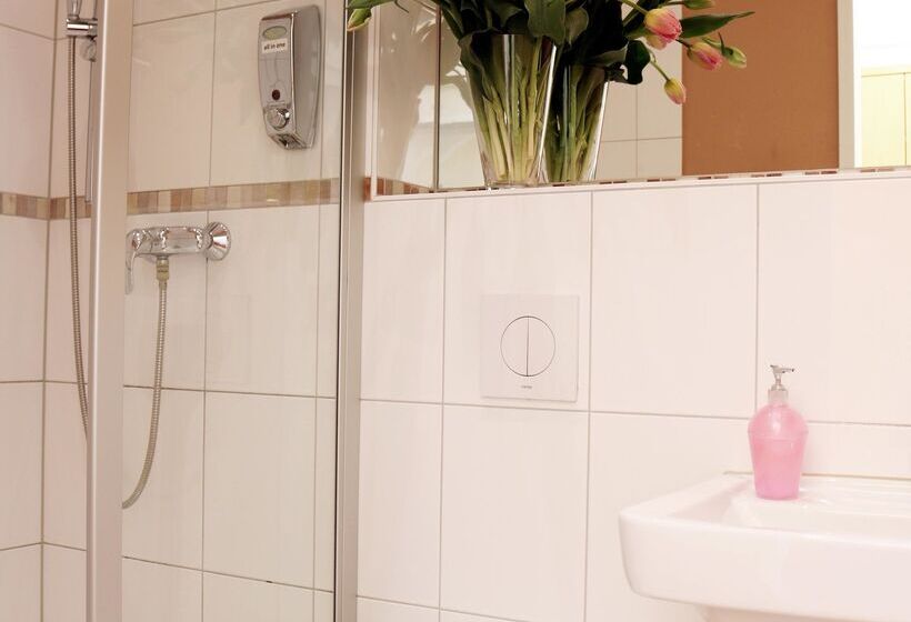 اتاق سوپریور, Air In Berlin