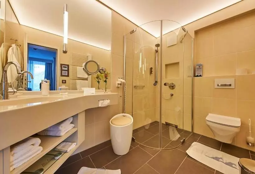 اتاق سوپریور خانوادگی, Badhotel Sternhagen