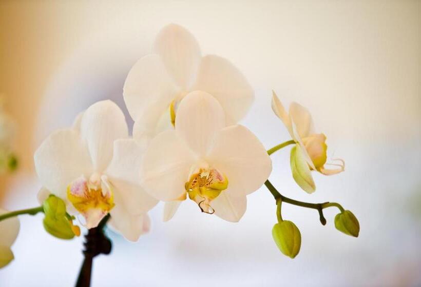 غرفة قياسية فردية, Birke, Ringhotel Kiel