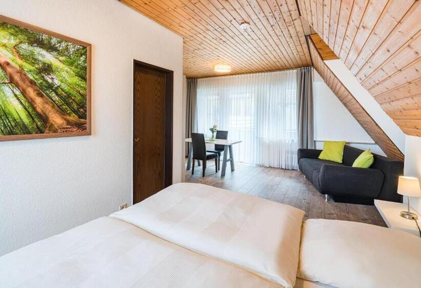 غرفة قياسية, Kemper