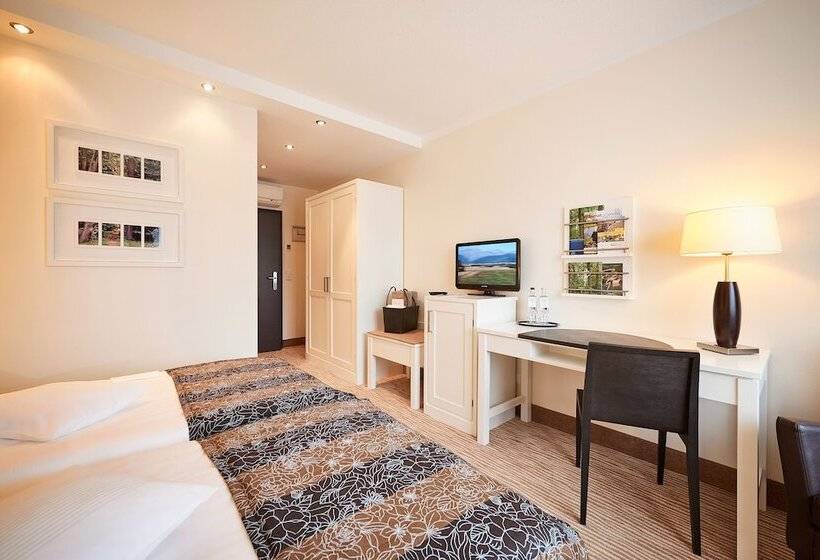 스탠다드 룸, Munte Am Stadtwald