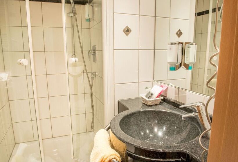 スタンダードシングルルーム, National Dusseldorf