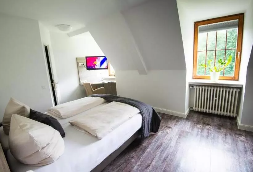Standard Single Room, Sporthotel Fuchsbachtal