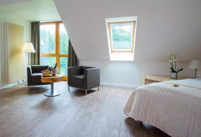 Comfort Room, Sporthotel Fuchsbachtal