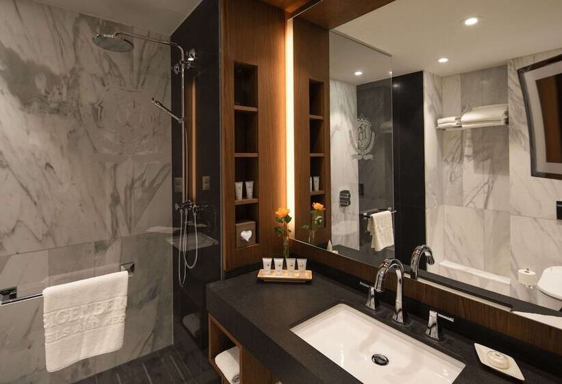 Номер Deluxe, Steigenberger Icon Parkhotel Düsseldorf