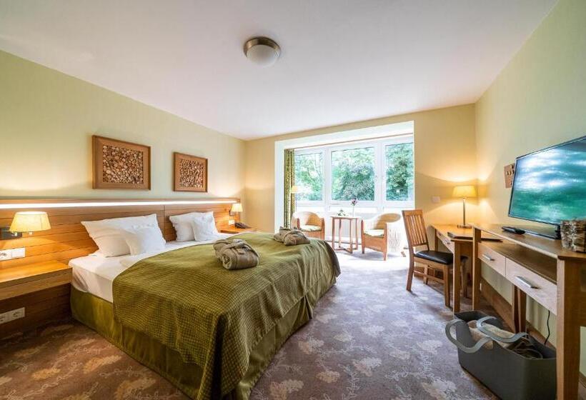 기본룸, Waldhotel Tannenhäuschen