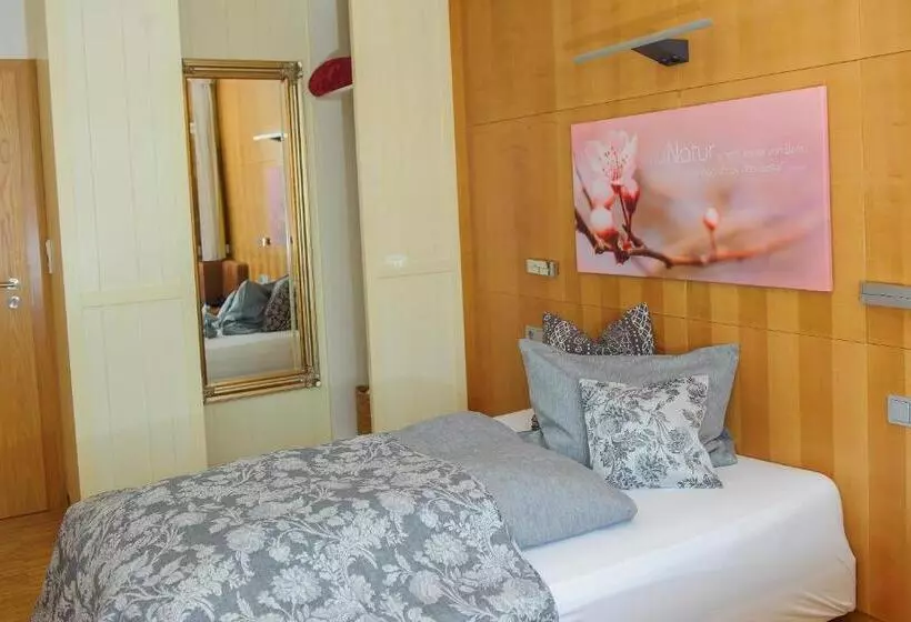 バルコニー付きシングルスタンダードルーム, Biohotel Mohren