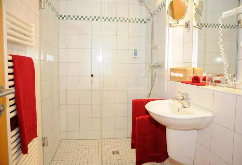 スタンダードルーム, Biohotel Mohren