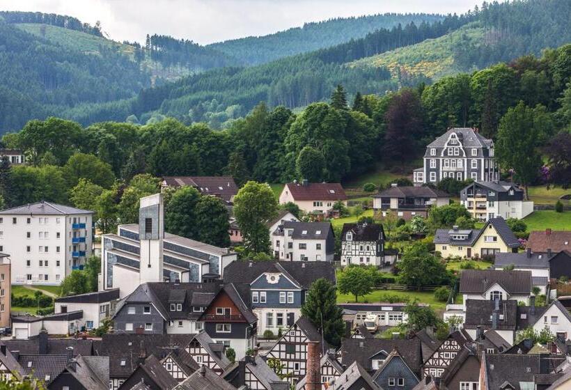 스탠다드 룸 파노라마 전망, Am Fang