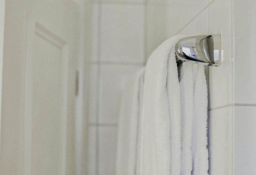 スタンダードシングルルーム, Drei Lilien