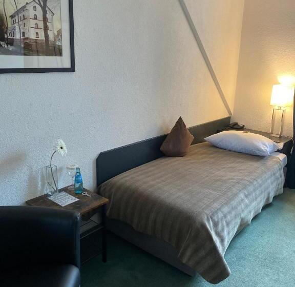 Номер Стандарт Индивидуальный, Mainzer Hof