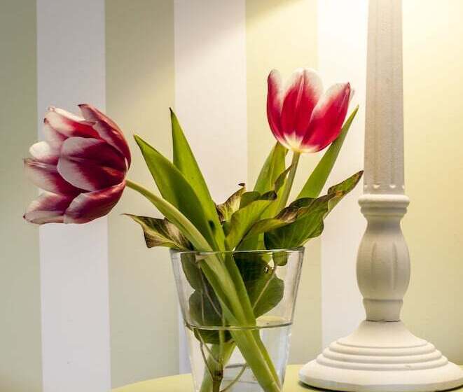 스탠다드 룸, & Restaurant Sonne