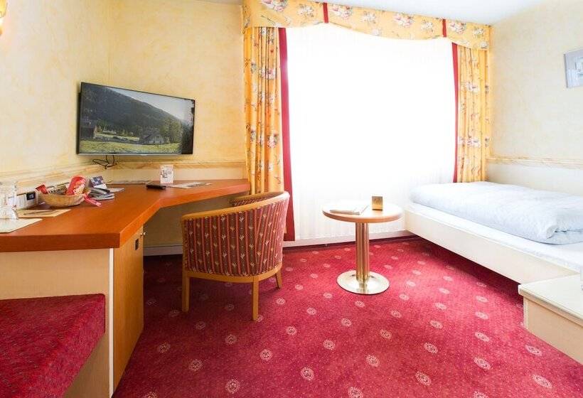 Номер Deluxe Одноместный, Akzent Hotel Restaurant Altdorfer Hof