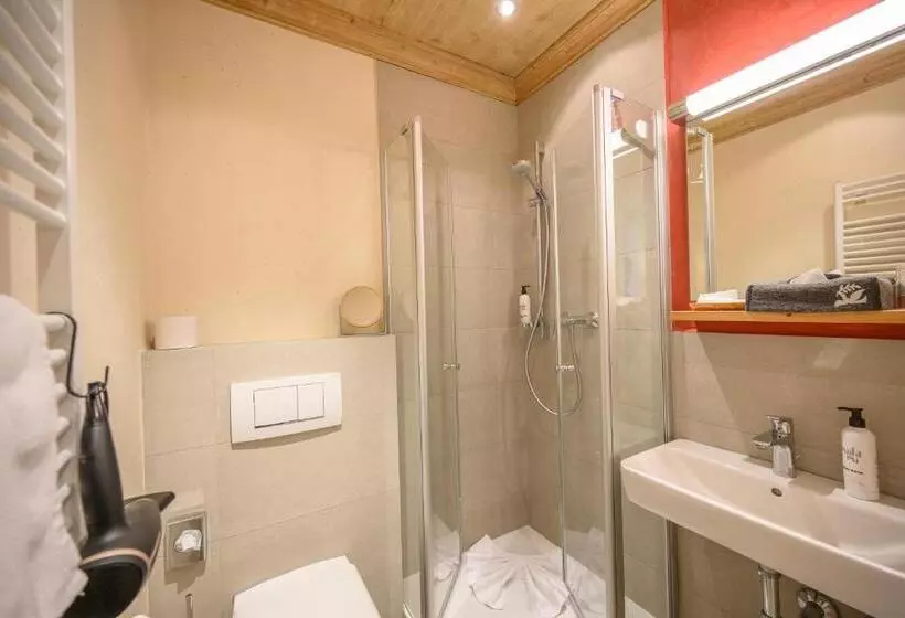 スタンダードルーム, Biohotel Garmischer Hof