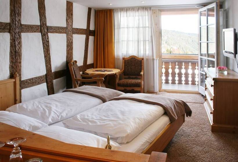 バルコニー付きスタンダードルーム, Adler Barental