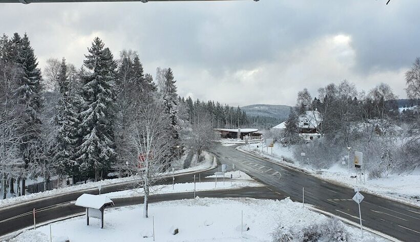 １ベッドルームアパートメント, Adler Barental